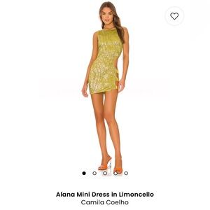 Camila Coelho Sequin Dress